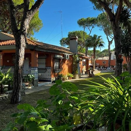 Chalet Los Pinos Con Piscina Privada Novo Sancti Petri Esterno foto